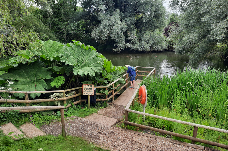 Arreton Barns pond