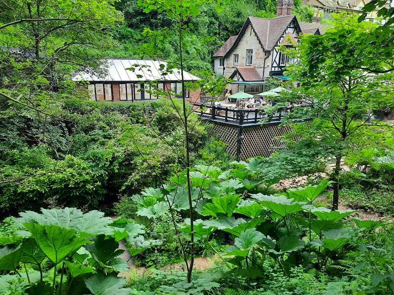 Shanklin Chine