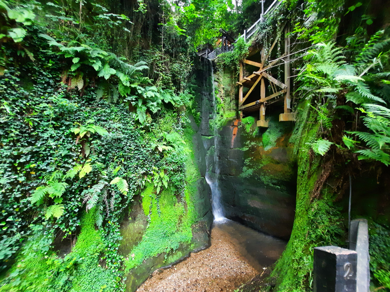 Shanklin Chine