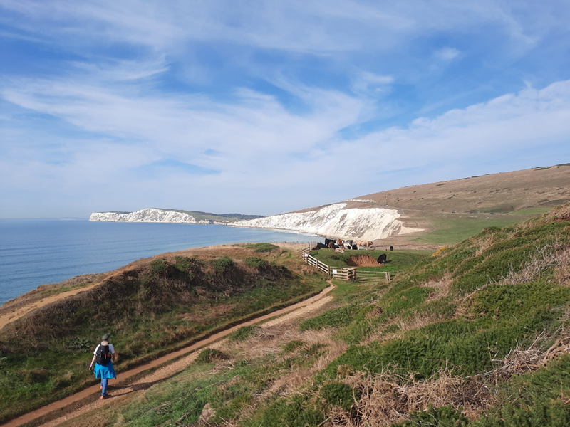 freshwater Bay coastline